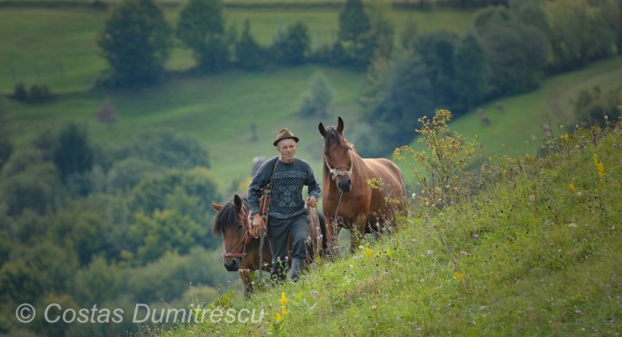  01770 maramures.JPG