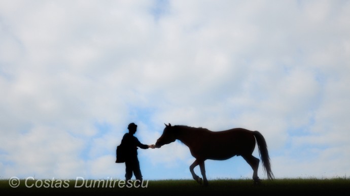  02259 maramures_1.JPG