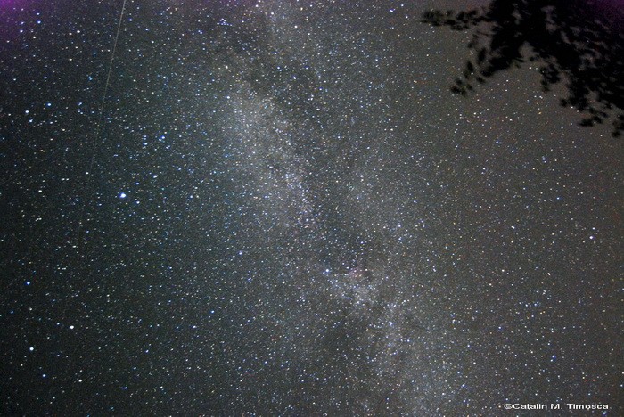  Cygnus Via lacteea.jpg