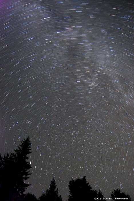  Via Lacteea Startrails.jpg