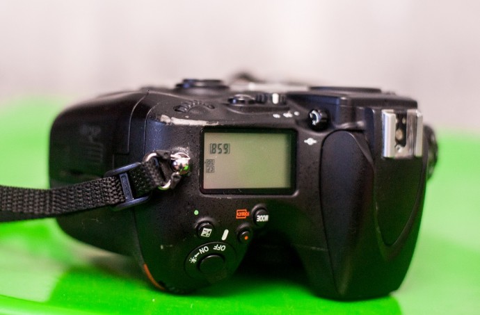  Nikon d800