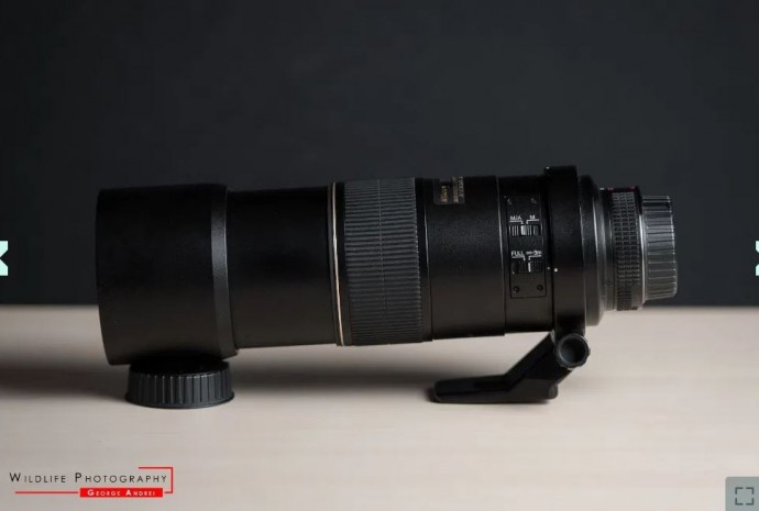  Obiectiv WildLife / Sport - Nikon 300mm f4 AF-S