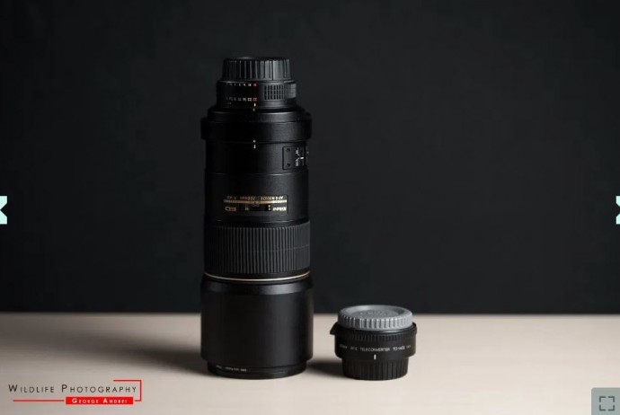  Obiectiv WildLife / Sport - Nikon 300mm f4 AF-S